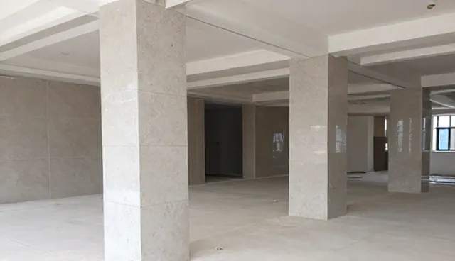 团队协作中包车服务的性能对比与选型建议
